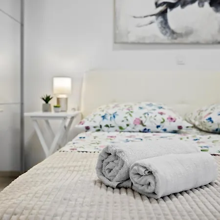 Apartment New Modern Elen In For 4 Persons - Center Pula
